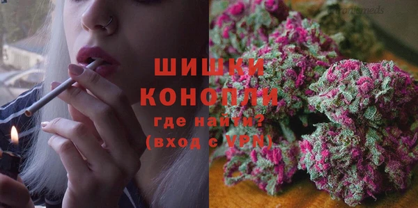 Альфа ПВП Новодвинск