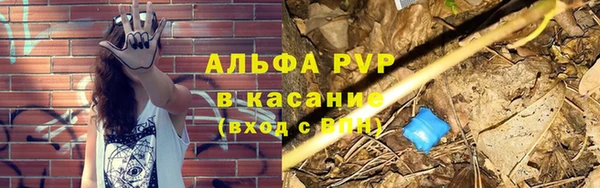 ALPHA PVP Новозыбков