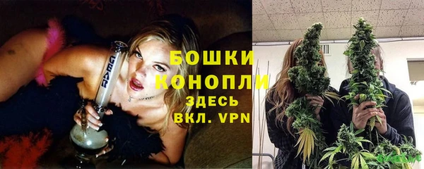 гидра Новокубанск