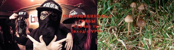 гидра Новокубанск