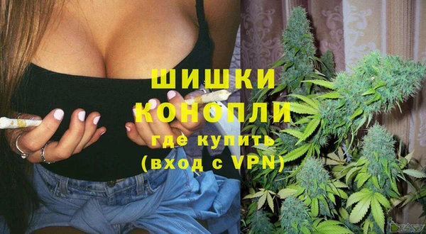 Альфа ПВП Новодвинск