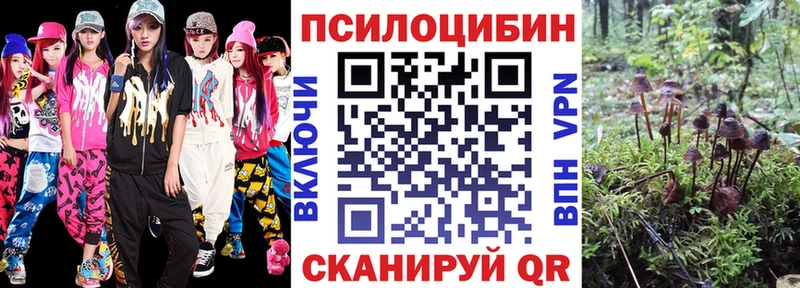 Псилоцибиновые грибы мицелий  где купить наркоту  ОМГ ОМГ зеркало  Советская Гавань 