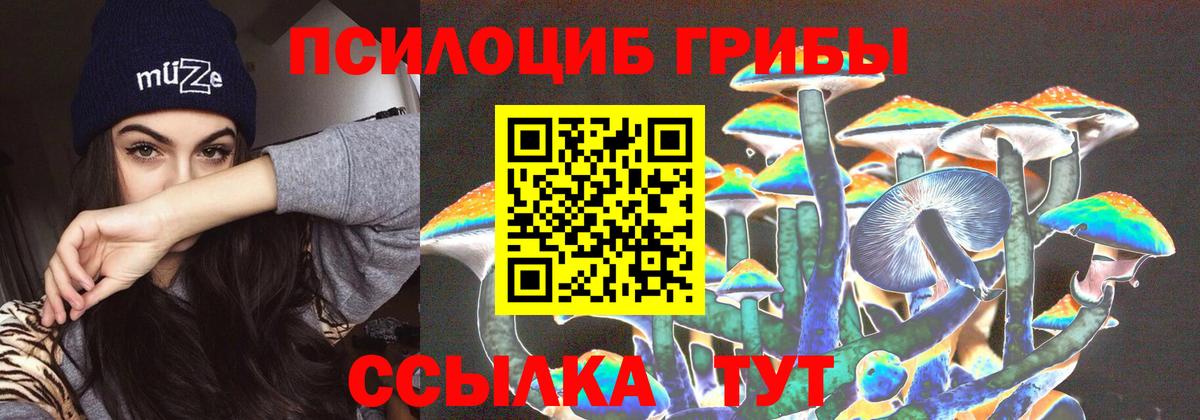 Галлюциногенные грибы Psilocybine cubensis  купить наркоту  Советская Гавань  Вход с VPN 